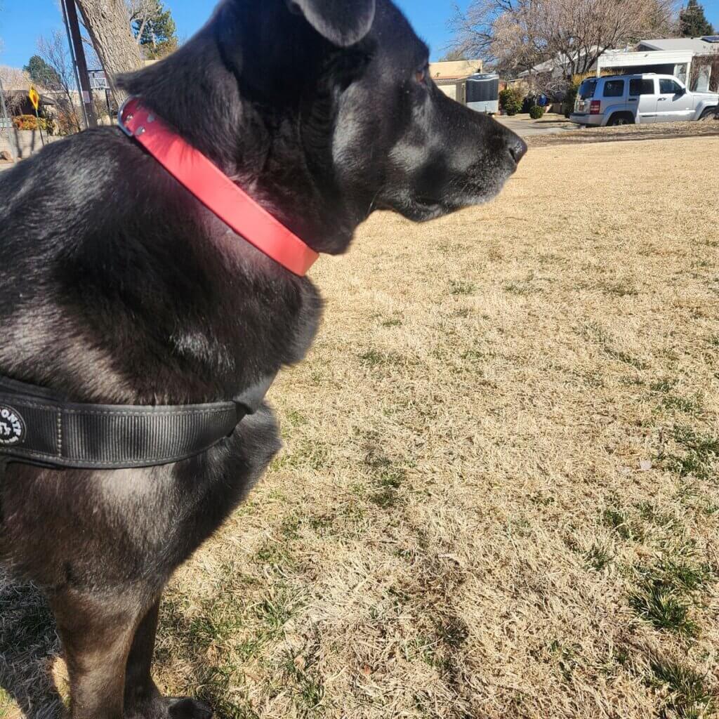 Image #1 from Anonymous