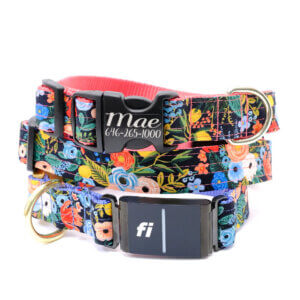 Mae Fi 3 dog collar floral
