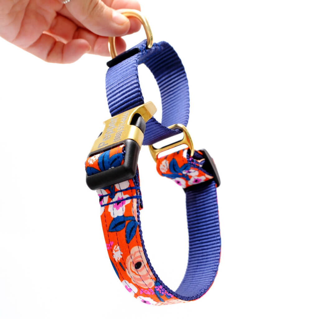 Martingale dog collar scarlet orange floral rifle paper