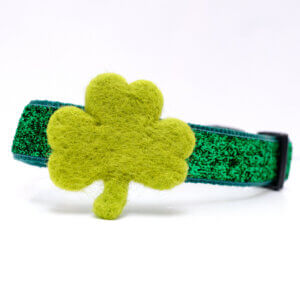 light shamrock dog collar