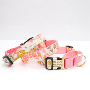 Handmade Adjustable Dog Collar - Fall Floral Rose Pattern In Green, Pink, Purple, Gold - Fits XS To XL