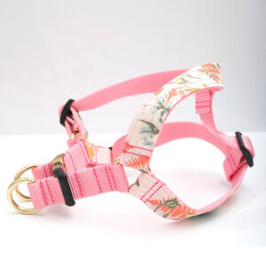 step in harness pink flowers Lulu