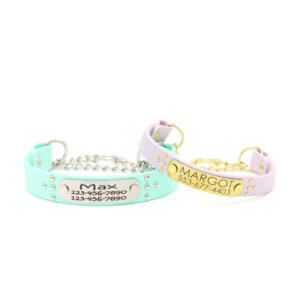 studded waterproof martingale collars ace