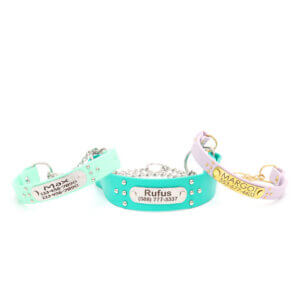 studded waterproof martingale collars ace