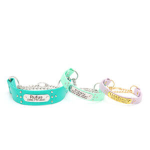 studded waterproof martingale collars ace