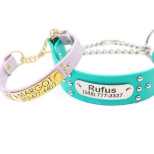 studded waterproof martingale collars ace