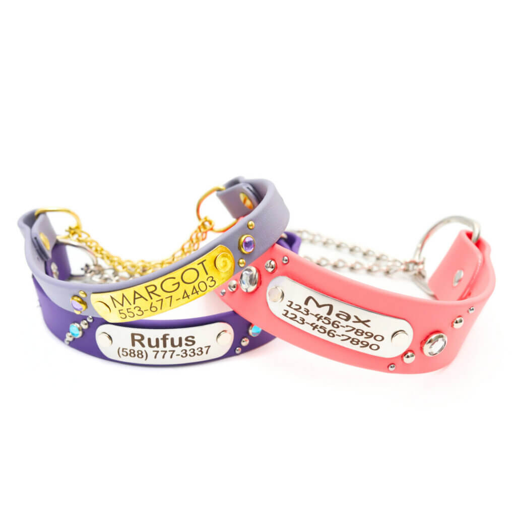 studded waterproof martingale collars comet