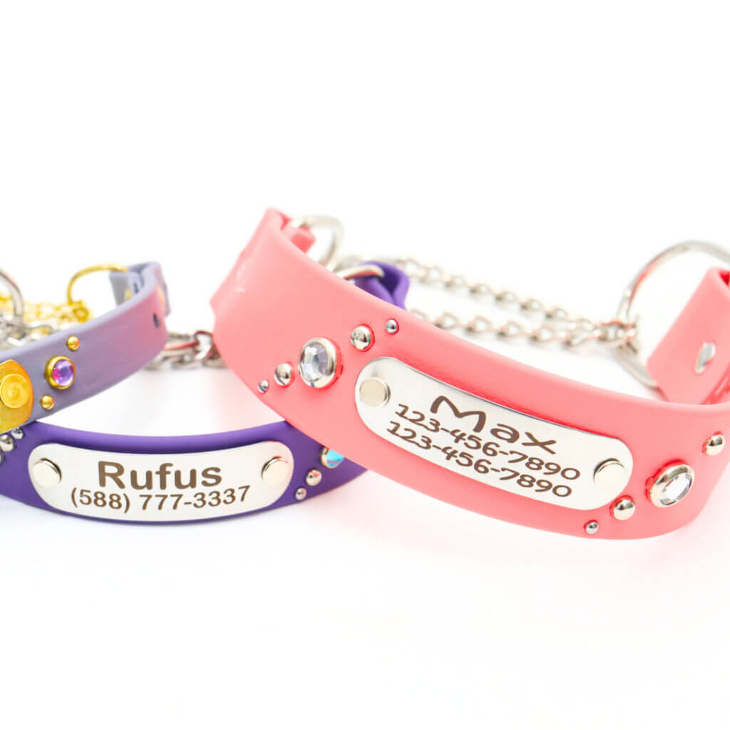 studded waterproof martingale collars comet