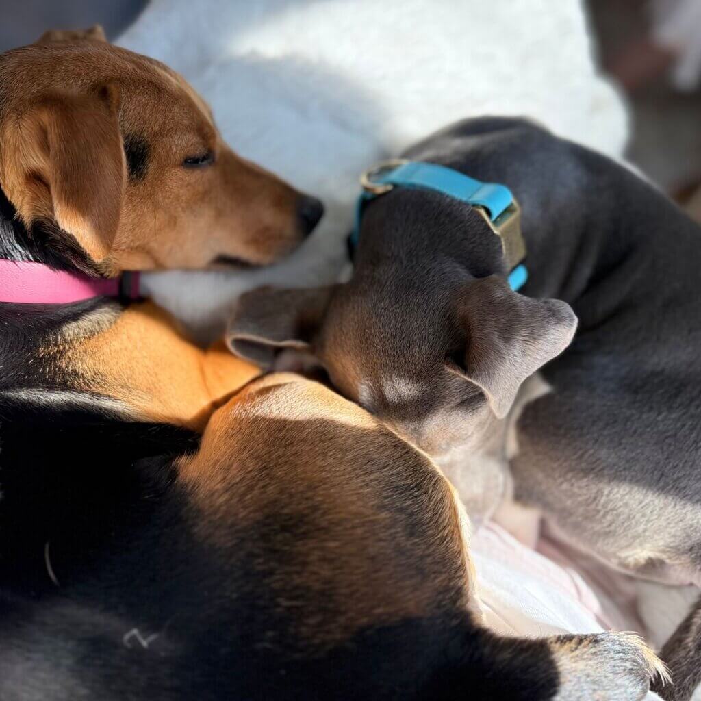 Image #1 from Christine