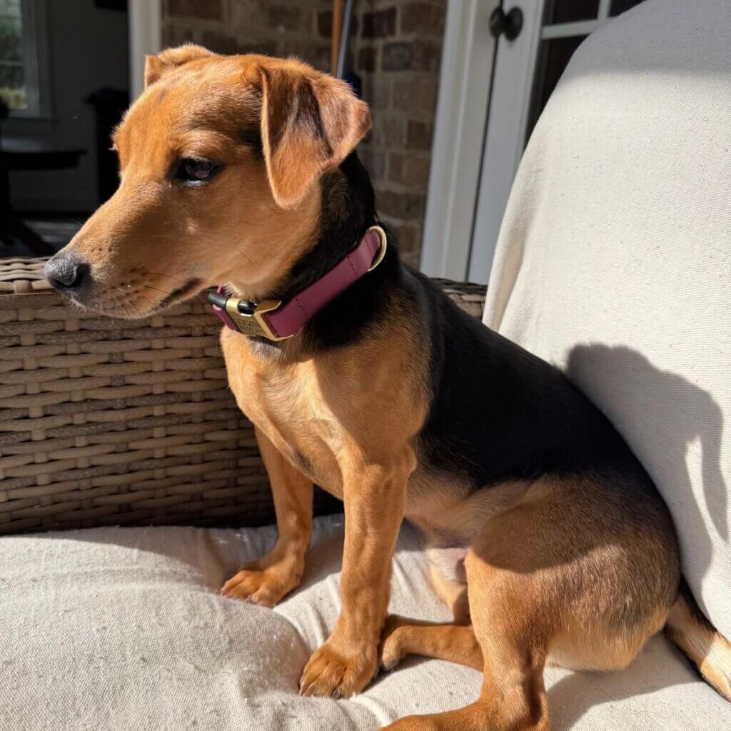 Image #2 from Christine