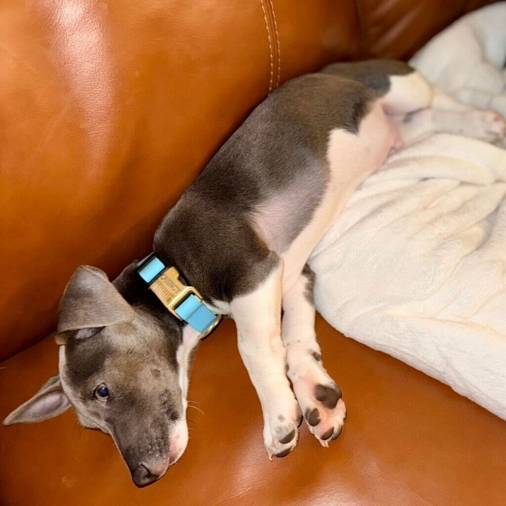 Image #3 from Christine