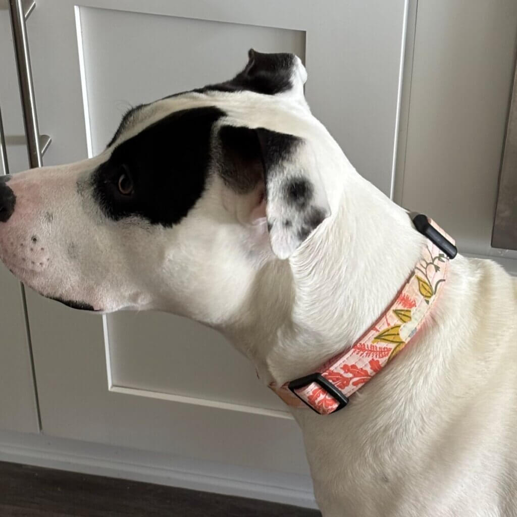 Image #1 from Lisa F.