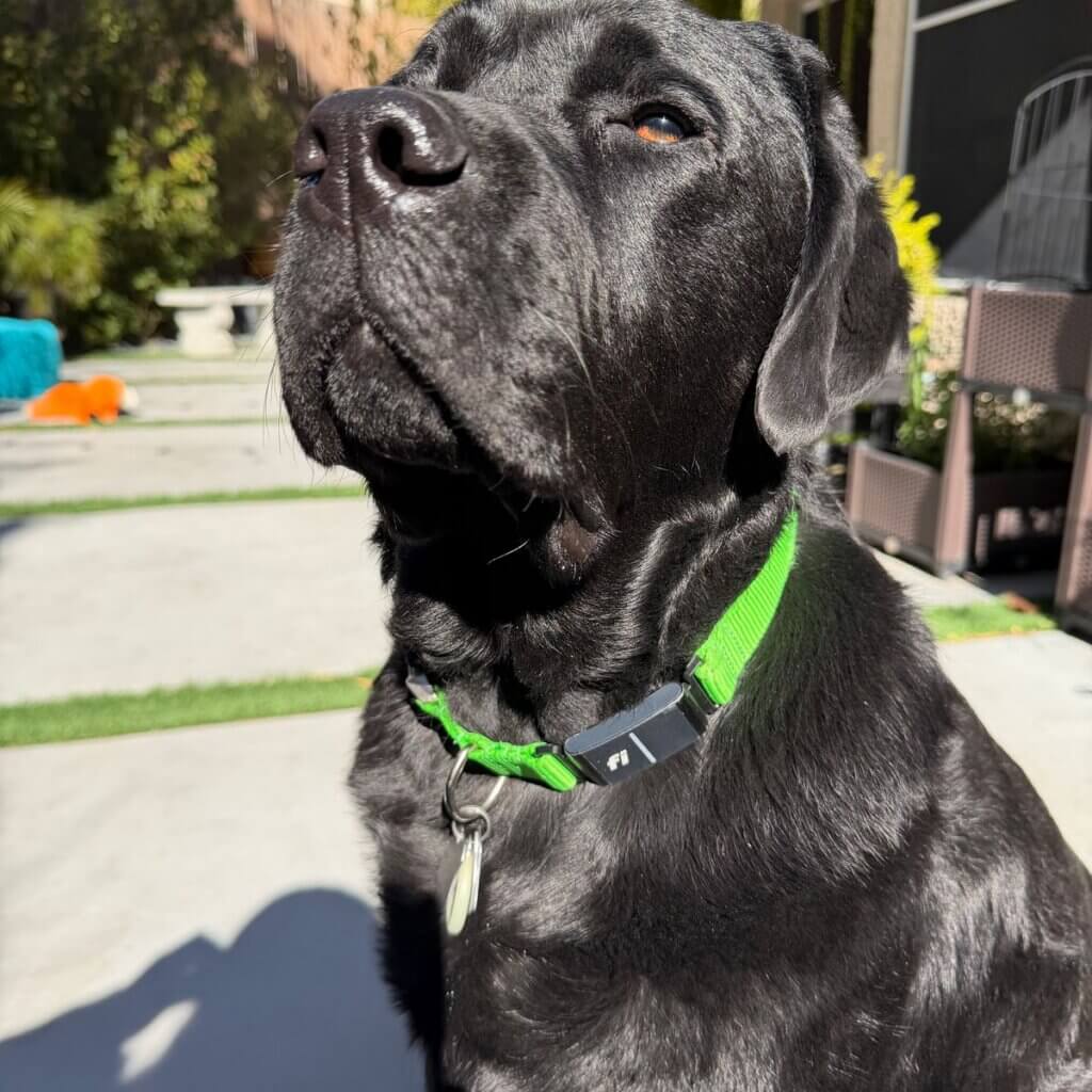 Image #1 from Jennifer