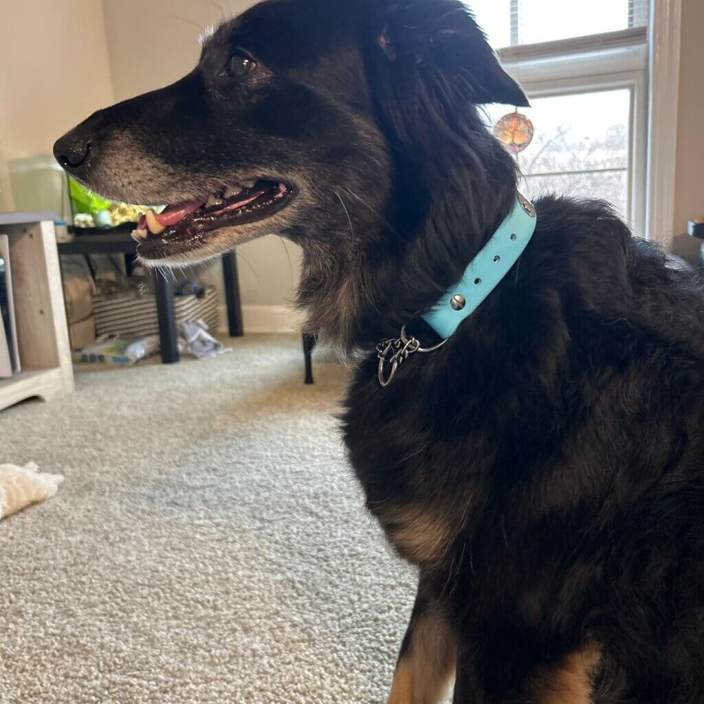 Image #2 from Anonymous