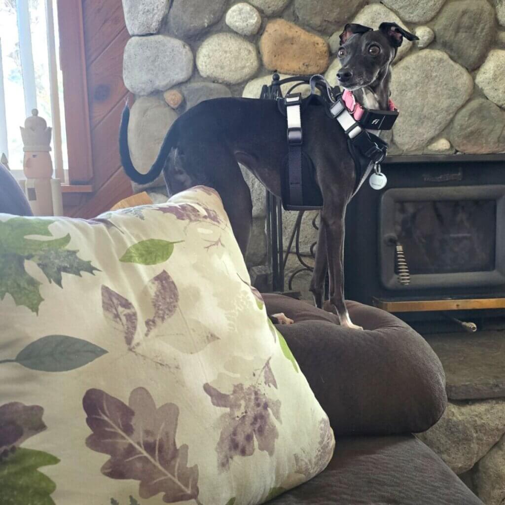 Image #1 from Christine Christine Perez