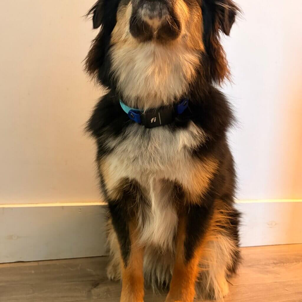 Image #1 from Nicole