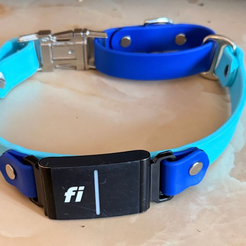 Image #2 from Nicole