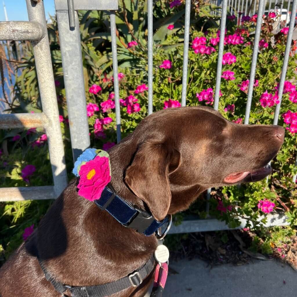 Image #2 from Melissa M.