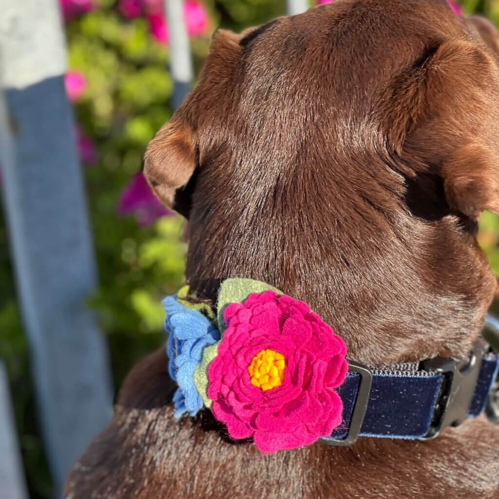 Image #1 from Melissa M.