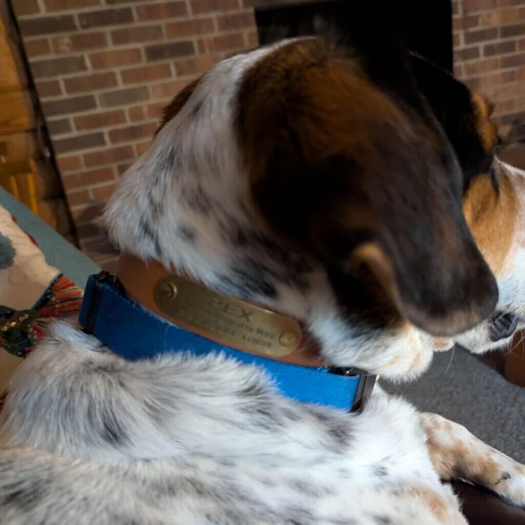 Image #1 from Mary Abendroth