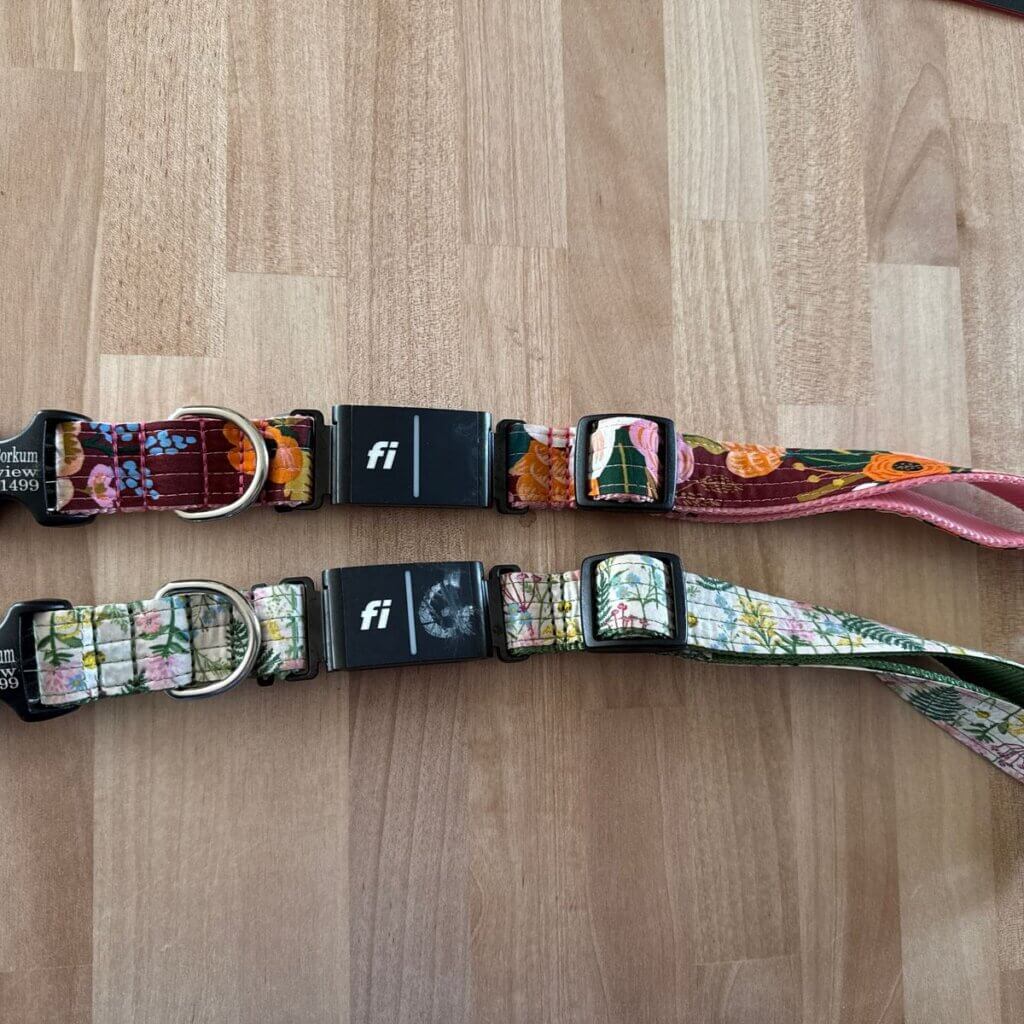 Image #2 from Collette