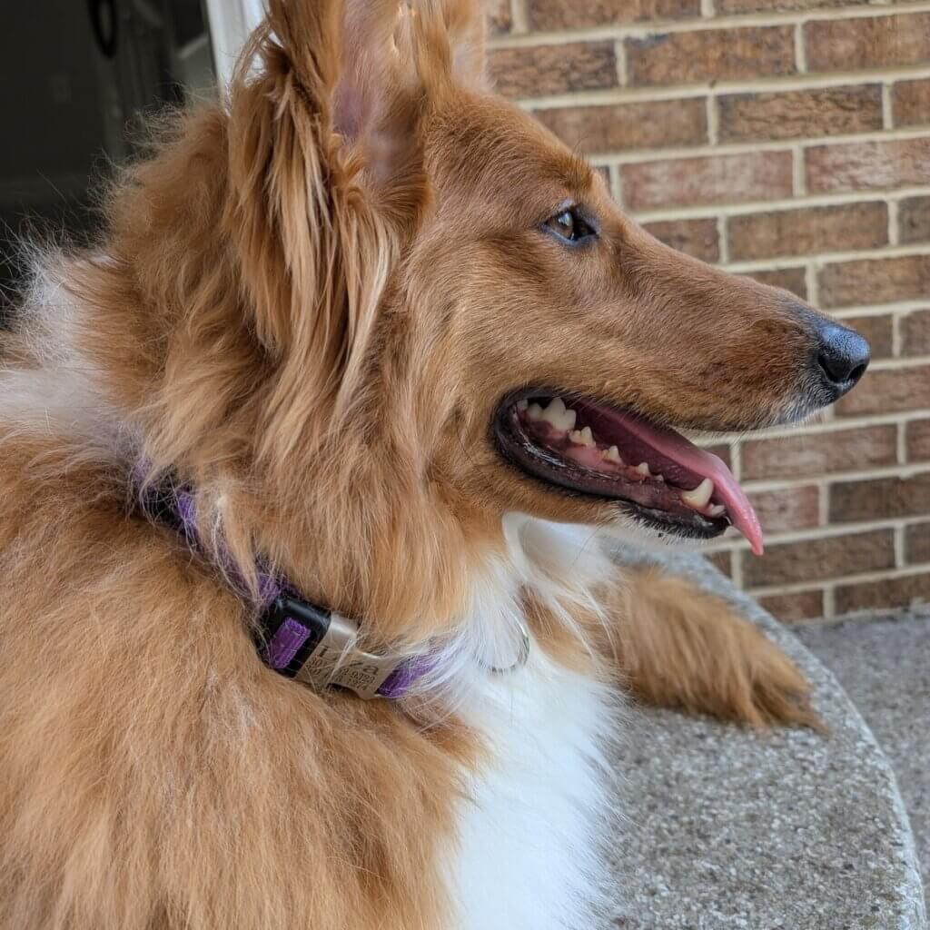 Image #1 from Samantha S.