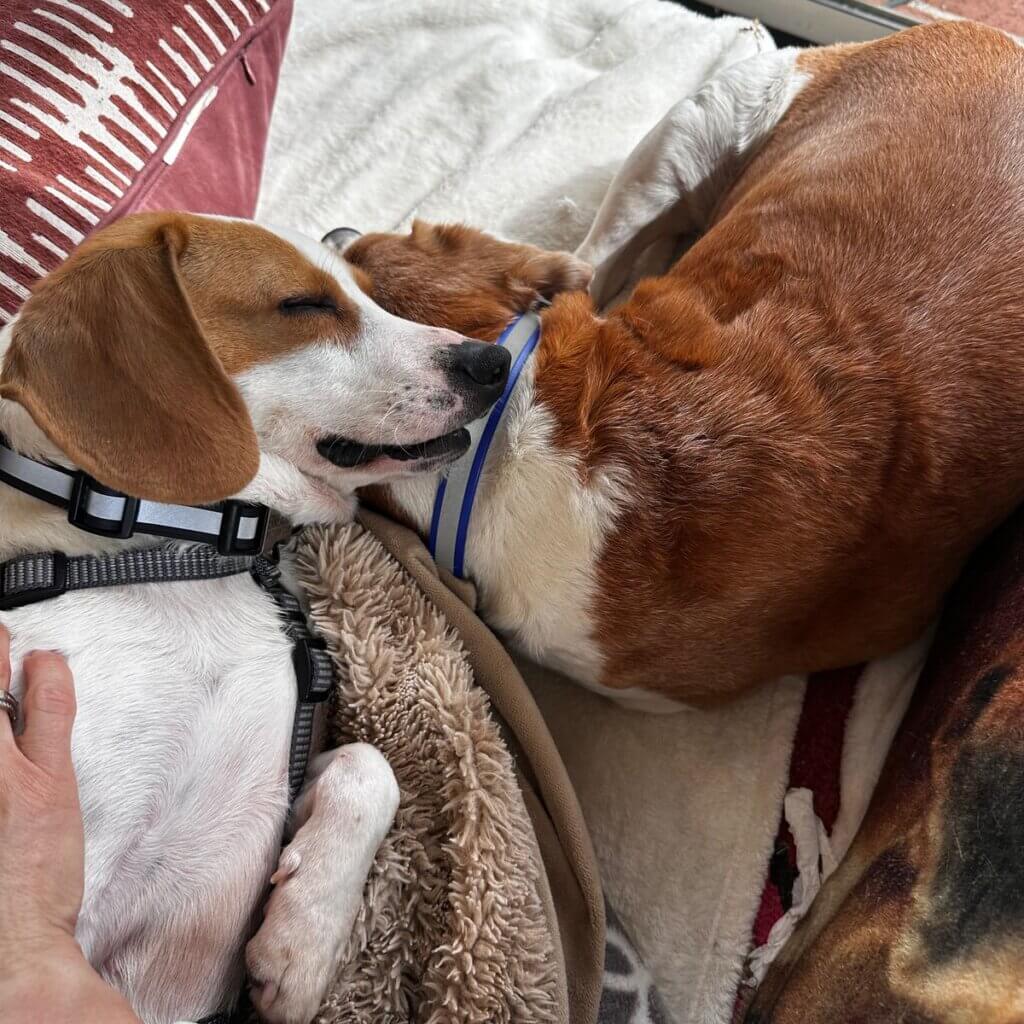 Image #1 from Sabrina A.