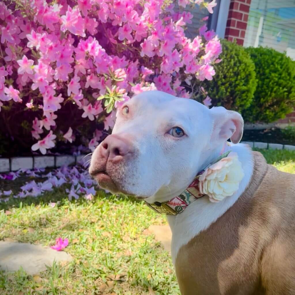 Image #2 from Rebecca Johnson