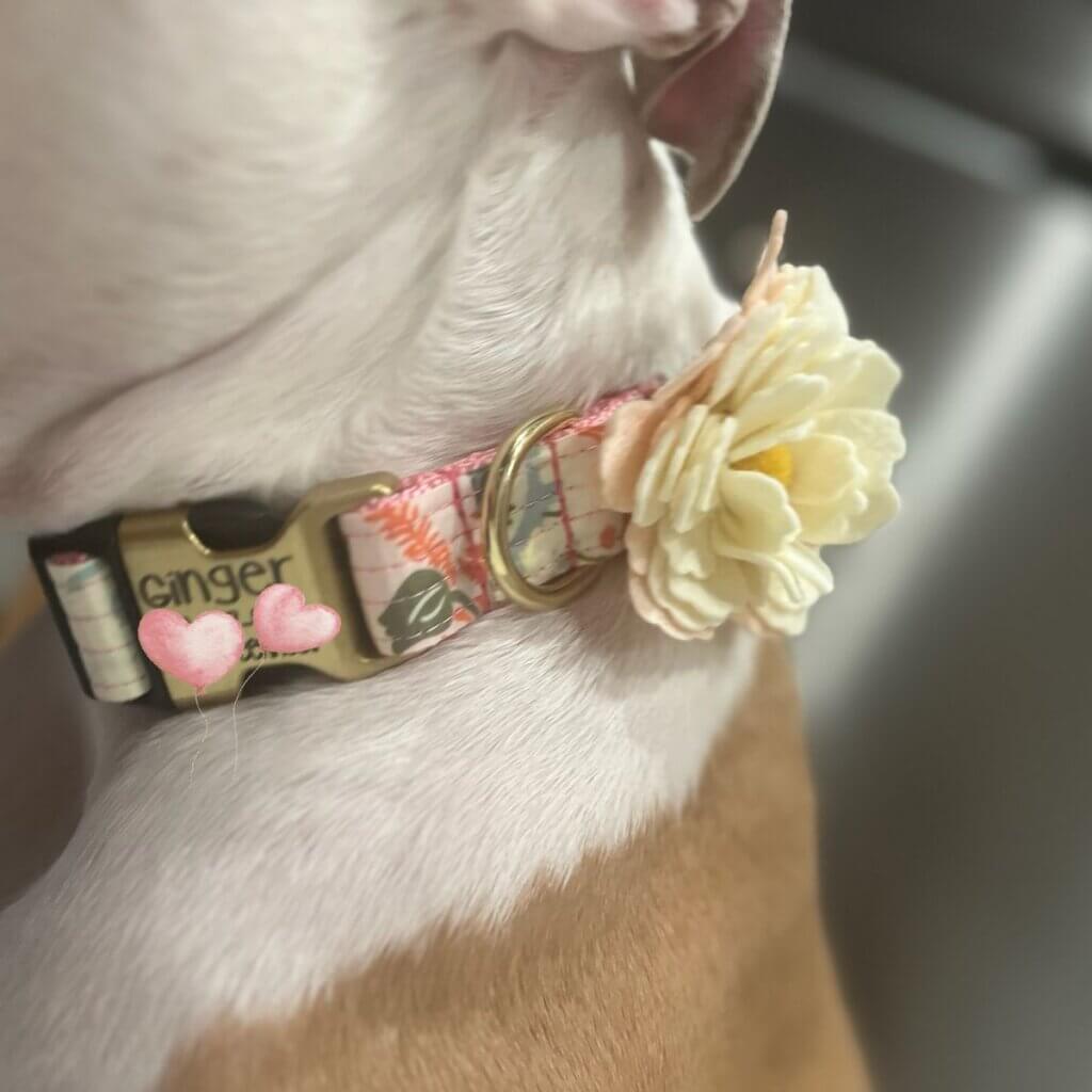 Image #2 from Rebecca Johnson