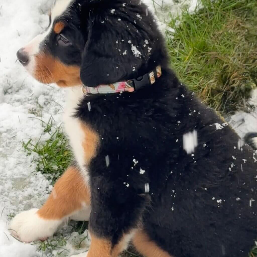 Image #1 from Rebeka B.