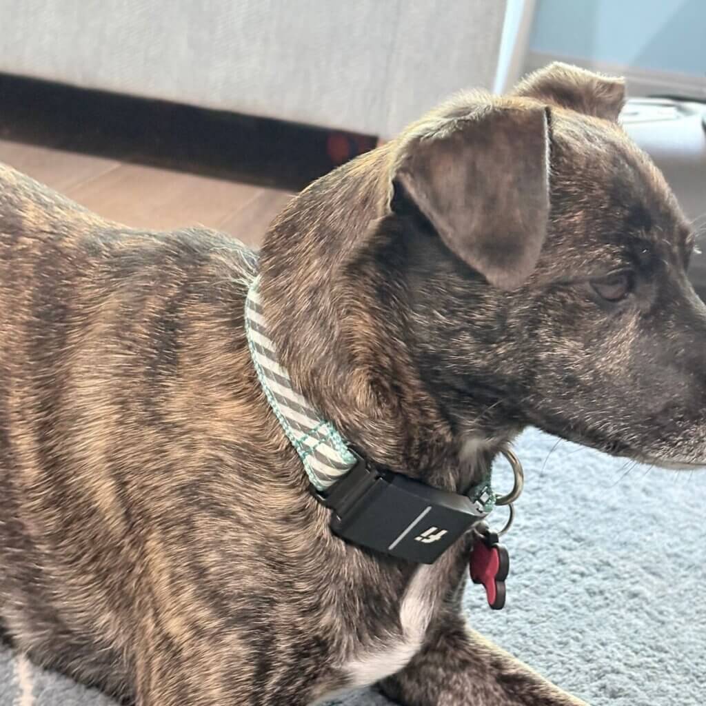 Image #1 from Jen T.