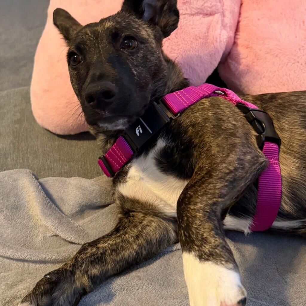 Image #1 from Michelle