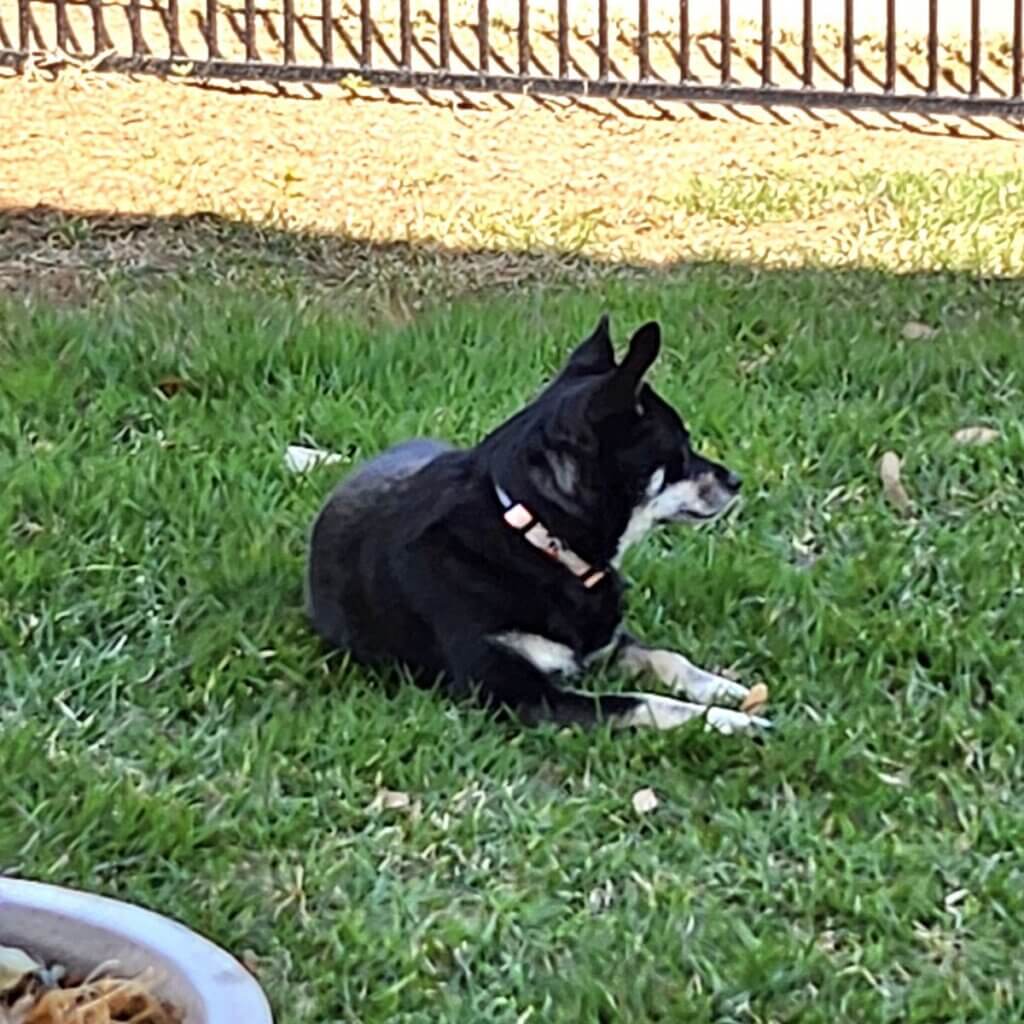 Image #1 from Anonymous