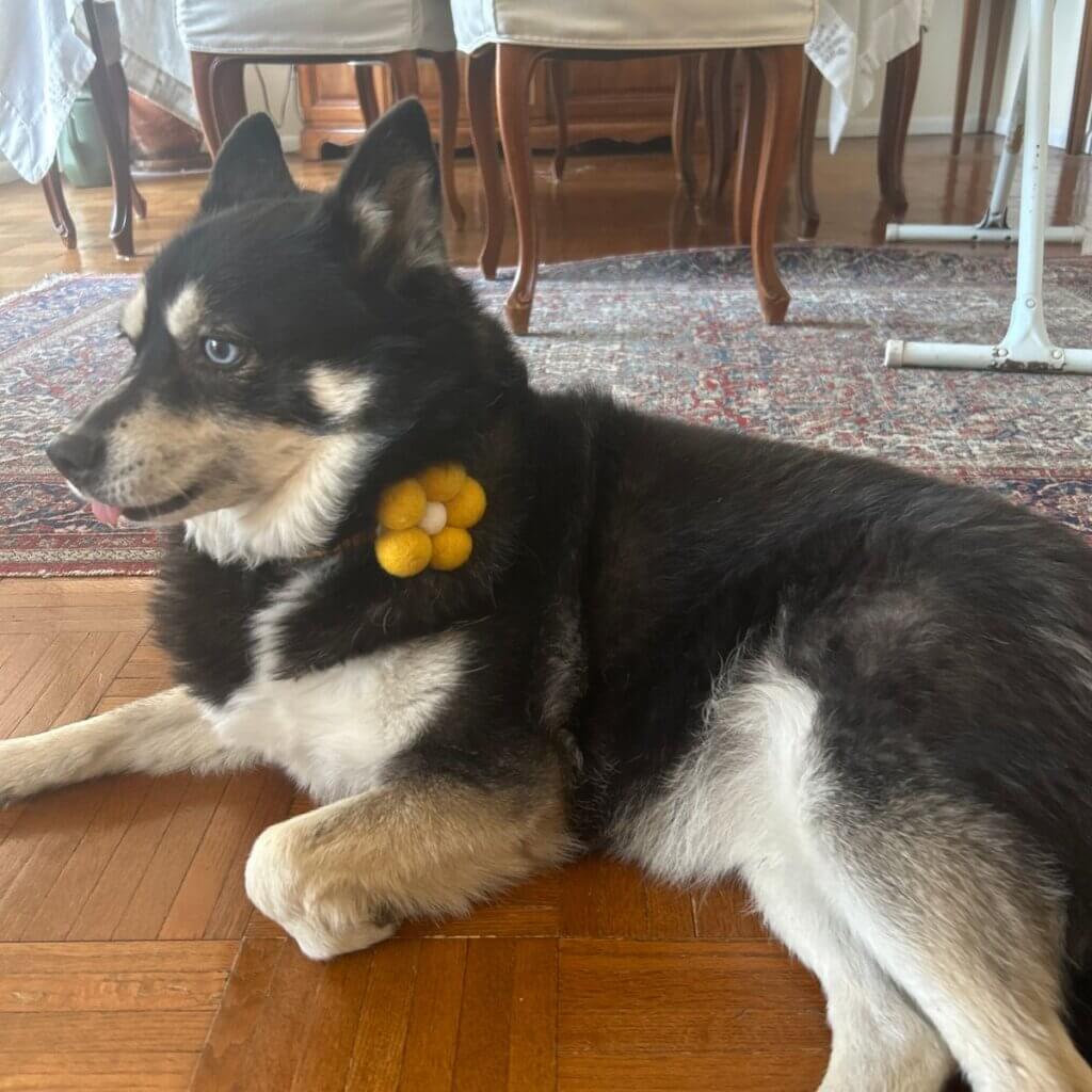 Image #1 from Jeannie L.