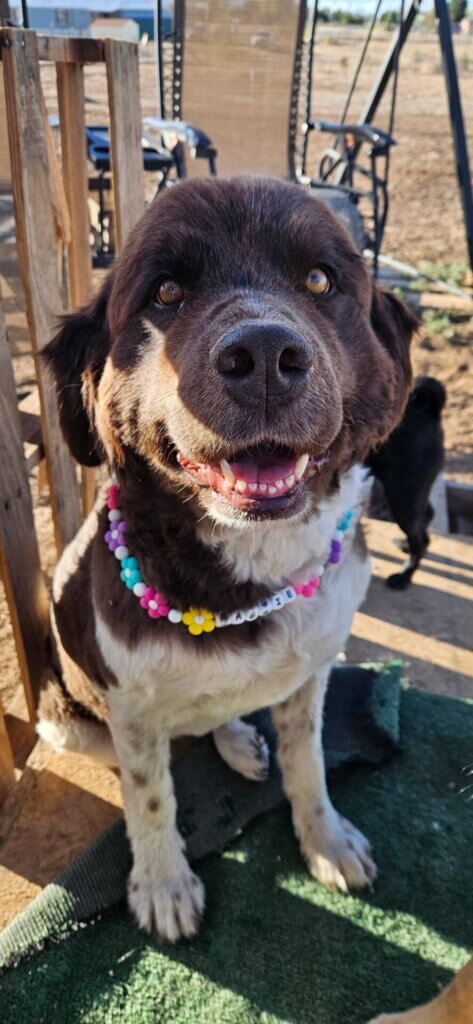 Image #1 from Larissa