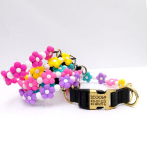 beaded flower dog collar personalized