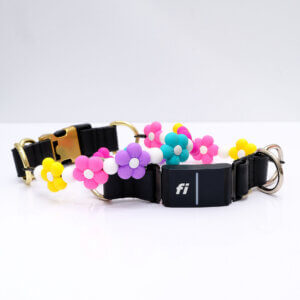 fi beaded dog collar flowers engraved