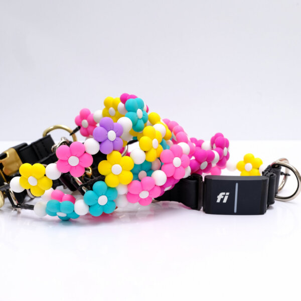 fi dog collar flower beads