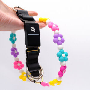 fi beaded dog collar flowers engraved