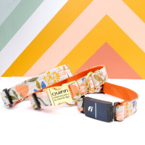 flourish laminated fi 3 collar