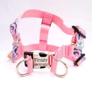 lana step in harness