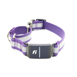 reflective fi compatible lightweight waterproof martingale collar