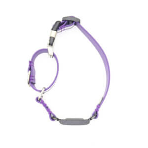 reflective fi compatible lightweight waterproof martingale collar
