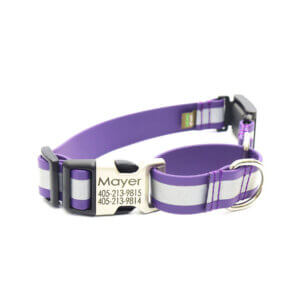 reflective fi compatible lightweight waterproof martingale collar