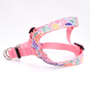 step in harness lana floral canvas