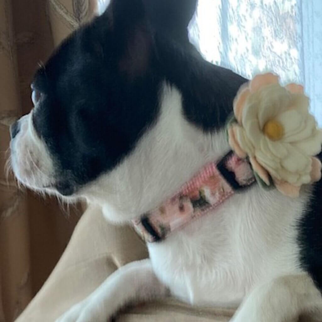 Image #1 from Cindy Mesko