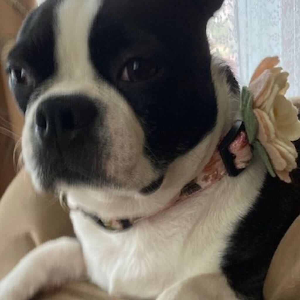 Image #2 from Cindy Mesko