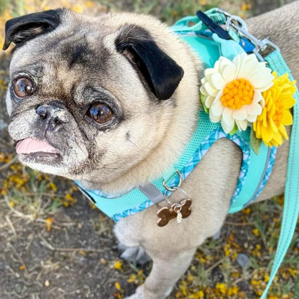 Image #1 from Anonymous