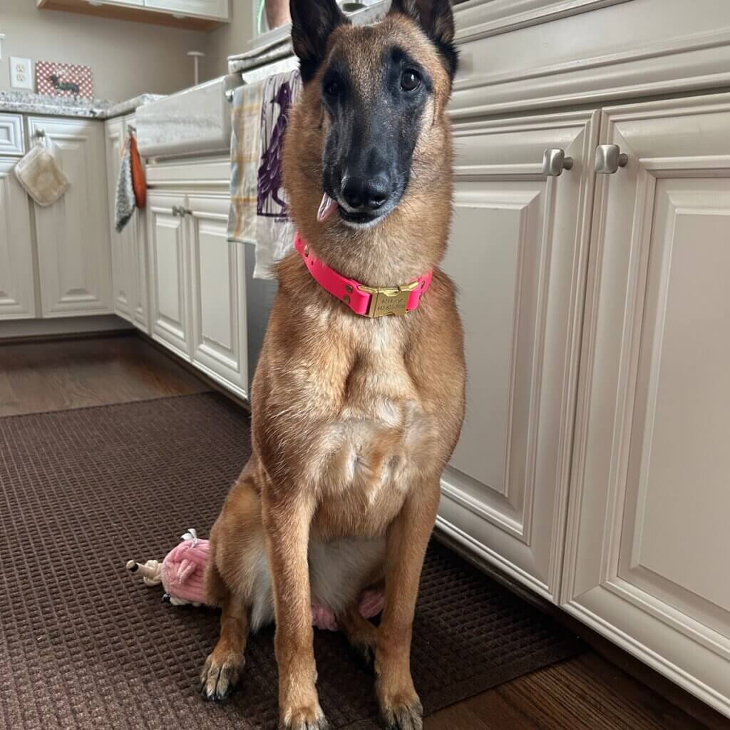 Image #1 from Clementine Fujimura