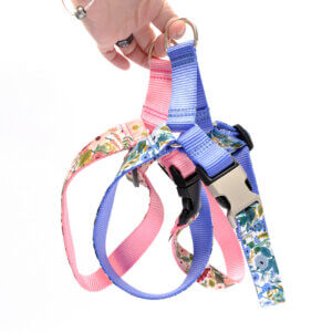 Rifle paper petite rose dog easy on harness